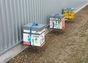 2023 image des ruches installées à Betton