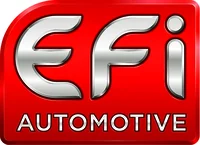 EFI.jpg